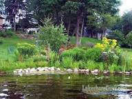 Waterfront vegetation reducing goose access