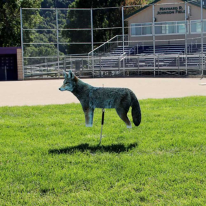 Goose decoy or reflective deterrent